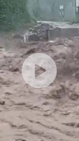 #maaldevta
#dehradun(uk)