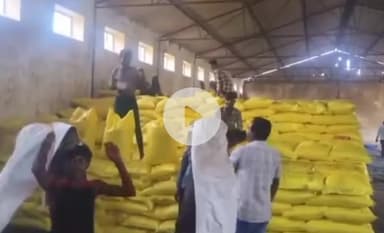 रामपुर नैकिन: रामपुर नैकिन क्षेत्र में यूरिया और डीएपी खाद की भारी किल्लत से किसान परेशान