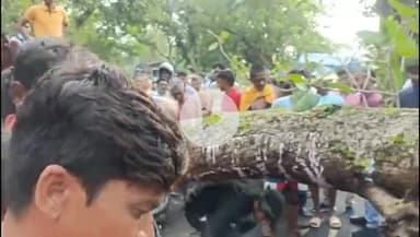 बगोदर: बगोदर सरिया रोड पर करम्बा मोड़ के पास सड़क पर गिरा बरगद का पेड़, बाइक सवार की मौत