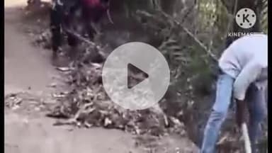 सतना जिले में ‘हर घर तिरंगा’ अभियान के तहत सफाई अभियान का आयोजन