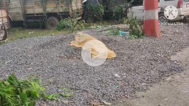 चंडी: सतनाग गांव में विवाहिता ने फांसी लगाकर दी जान, दहेज हत्या का आरोप, 4 माह पहले हुई थी शादी