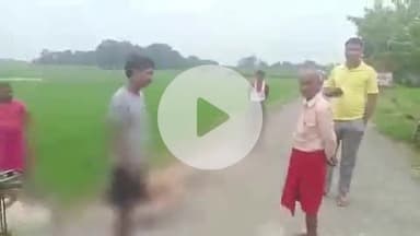 लंभुआ: दुल्हापुर में नीलगाय के बच्चे को कुत्तों के झुंड ने नोंचकर किया घायल, सड़क पर तड़पता रहा; वीडियो हुआ वायरल