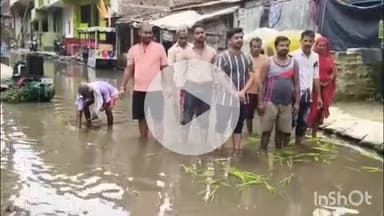 कहरा: गांधी पथ वार्ड नं 39 मुख्य सड़क को लोगों ने बना दिया खेत, शासन प्रशासन से नाराज होकर बीच सड़क पर धान रोपनी का करने लगे काम