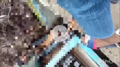 बरेली: भोजीपुरा थाना क्षेत्र के जटौआ गांव में दो लोगों का जानवर के साथ गलत कार्य करते हुए वीडियो हुआ वायरल