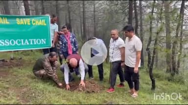 कंडाघाट: चायल होटल एसोसिएशन ने मंगलवार को वन विभाग के साथ मिलकर पर्यटन नगरी चायल में पौधारोपण कार्यक्रम का आयोजन किया