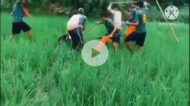 बगहा: बगहा में बाघ से अपने साथी को बचाने के लिए वनकर्मी भीड़ गए