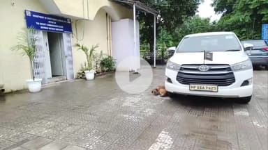 बद्दी: बद्दी में पहुँचे आयुक्त राज्य कर एवं आबकारी हिमाचल प्रदेश, डॉक्टर यूनिस खान