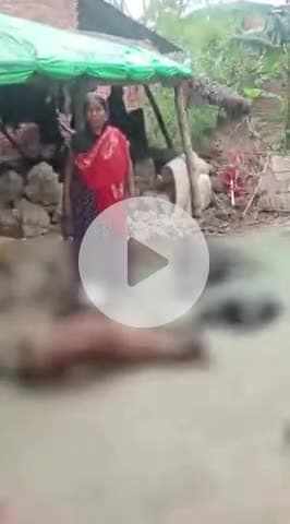 जयसिंहपुर: मुड़हा गांव में बारिश के कारण ढही कच्ची दीवार, 5 बकरियां दबीं; 4 की हुई मौत