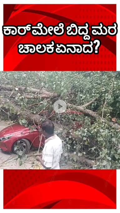ಬೆಂಗಳೂರು ಉತ್ತರ: ಕಾರ್ಪೊರೇಷನ್ ಅಲ್ಲಿ ಕಾರ್ ಚಾಲಕನಾಗಿ ಕಂಟಕವಾದ ಮರ! ಹೊಸ ಕಾರು ಜಕಮ್