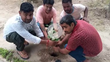 ब्रह्मर्षि समाज युवा नेता व युवा अधिवक्ता प्रणव कुमार ने मुंगेर सिविल कोर्ट के प्रसिद्ध वरिष्ठ अधिवक्ता स्वर्गीय रामनंदन सिंह उर्फ राम जी बाबू के पुण्यतिथि पर पौधारोपण किया