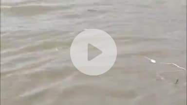 बीसलपुर: तीसरे दिन देवहा नदी से बरामद हुआ डूबे युवक का शव, परिजनों में मचा कोहराम