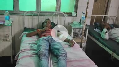 झालरापाटन: प्रत्याखेड़ी गांव में खेत में फसलों को पानी पिलाने के दौरान मधुमक्खियों के हमले में युवा किसान घायल