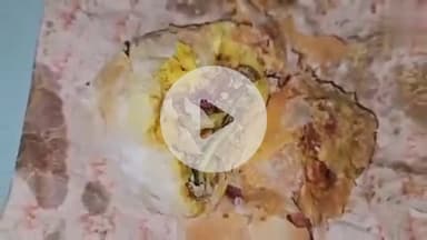 జడ్చర్ల: పట్టణంలోని శ్రీ లక్ష్మీ అయ్యంగారి బేకరీలో కర్రీ పఫ్‌లో పాము పిల్ల కలకలం, పోలీసులకు ఫిర్యాదు