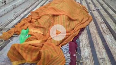 संदेश: पनपुरा गांव में विषैले सांप के डसने से सो रही महिला की मौत, परिजन ने झाड़-फूंक कराने के लिए ओझा को बुलाया