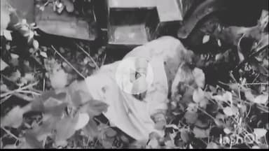 महाराजपुर घाट पर सड़क हादसे में घायल 55 वर्षीय व्यक्ति की ज़िला अस्पताल सतना में मौत