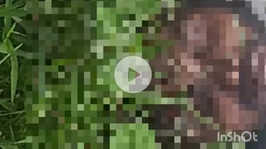 फारबिसगंज: फारबिसगंज में ट्रेन के चपेट में आने से 30 वर्षीय अज्ञात युवक की मौत, रेल पुलिस जांच में जुटी