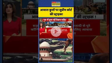 आवारा कुत्तों पर सुप्रीम कोर्ट की स्ट्राइक! | Supreme Court On Dogs | #shorts #supremecourt #dogs