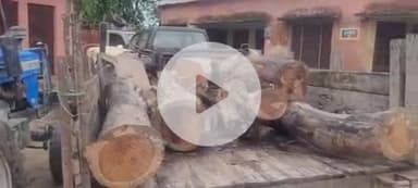 लक्सर: लक्सर में वन विभाग ने ग्राम समाज की जमीन से पेड़ काटने पर चार लोगों के खिलाफ किया केस दर्ज