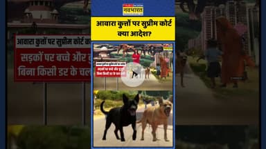 आवारा कुत्तों पर सुप्रीम कोर्ट क्या आदेश? | Supreme Court On Dogs | #shorts #supremcourt #dogs