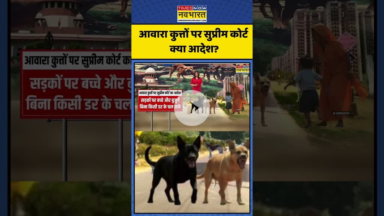 आवारा कुत्तों पर सुप्रीम कोर्ट क्या आदेश? | Supreme Court On Dogs | #shorts #supremcourt #dogs