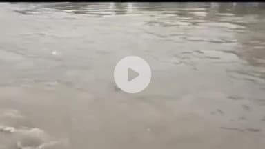 ठाकुरद्वारा: डीलारी गांव चटकाली में बाढ़ में बह गया सिपाही, रात में गश्त पर निकला था; मछली का जाल पैर में फंसा, हटाते समय गिर गया