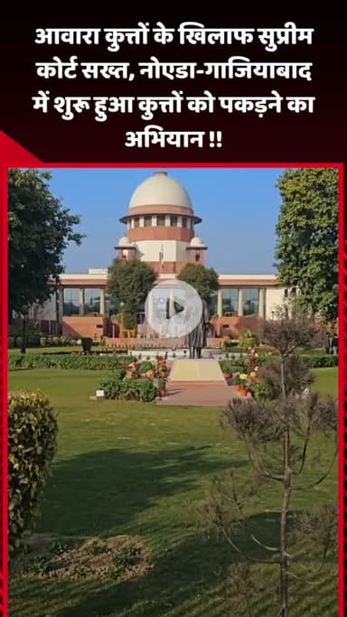 गौतम बुद्ध नगर: आवारा कुत्तों के खिलाफ सुप्रीम कोर्ट सख्त, नोएडा-गाजियाबाद में शुरू हुआ कुत्तों को पकड़ने का अभियान