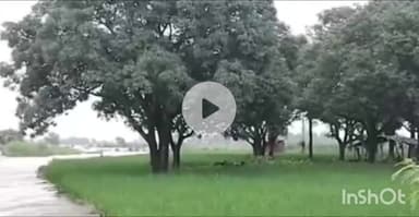 इंदौरा: मंड भोग्रवां के एक किसान ने वीडियो वायरल कर सुनाई अपनी व्यथा, कहा- अभी तक नहीं पहुंचा कोई अधिकारी