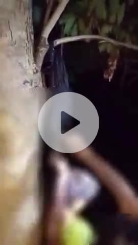 जयसिंहपुर: पूर्वांचल एक्सप्रेस-वे के किमी 149 के पास अज्ञात युवती की नदी किनारे पेड़ से लटकती मिली लाश, हत्या की आशंका