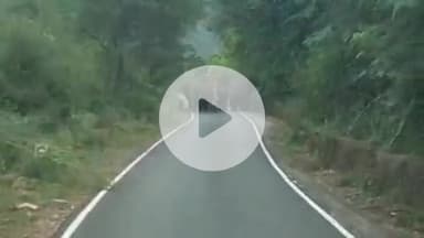 குந்தா: கெத்தை சாலையில் 108 ஆம்புலன்ஸ் வாகனத்தை வழி மறித்த ஏழு காட்டு யானைகள்