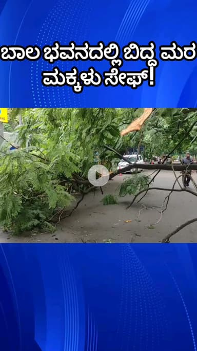 ಬೆಂಗಳೂರು ಉತ್ತರ: ಕಬ್ಬನ್ ಪಾರ್ಕ್‌ನಲ್ಲಿ ಉರುಳಿ ಬಿದ್ದ ಮರ, ಮಕ್ಕಳು ಬಚಾವ್