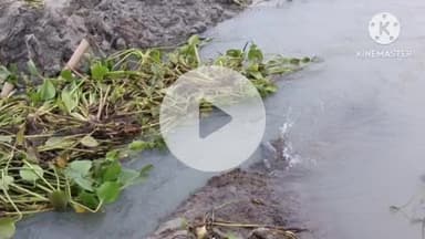 नरपतगंज: गोरराहा के समीप नहर टूटने से खेतों में फैला पानी, किसान परेशान