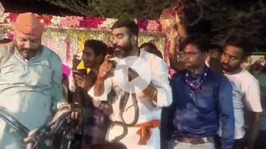 सरदारशहर: मनोकामना पूर्ण गोगामेड़ी पर 22 अगस्त को होने वाले विशाल जागरण और जहरीले सांपों के साथ अखाड़े को लेकर आयोजित हुई बैठक