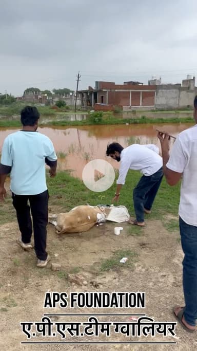 इसका पूरा पेट फाड़ दिया 🥺..!

Respect Girls help poor help animals 

#apsgurjar #help #viral #support #gwalior