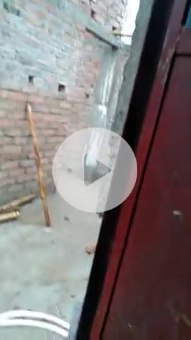 बारिश से मौसम सुहाना नगर परिषद दलसिंहसराय में झमाझम बारिश दो दिनों की उमेश भरी गर्मी से मिली राहत