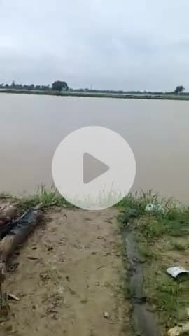 kaparwar ghat binwapuri me banda dala gaya 1 mahina pahale abhi se katana suru ho gaya