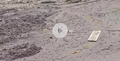 धराली की आपदा में दिखा एक मार्मिक नजारा,अपनों की तलाश में एक बेजुबान। बादल फटने से पूरा गांव नक्शे से गायब है।