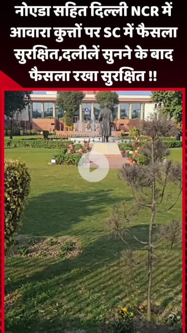 गौतम बुद्ध नगर: नोएडा सहित दिल्ली NCR में आवारा कुत्तों पर SC ने फैसला सुरक्षित रखा, दलीलें सुनने के बाद फैसला रखा गया सुरक्षित