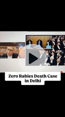 BREAKING: THE BIG REVEAL FROM SC
HEARING
From 2022 to 2023 - delhi had Zero rabies
12
#apsgurjar