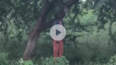 करनाल: सेक्टर 32-33 थाना क्षेत्र में एक व्यक्ति ने पेड़ से लटककर आत्महत्या की, पुलिस मौके पर