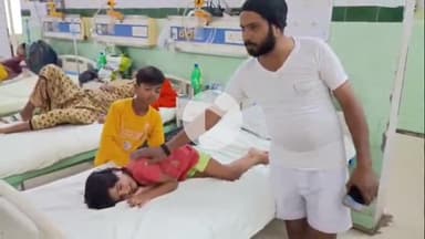 बरेली: जिले में आवारा कुत्तों का आतंक जारी, थाना बरदारी क्षेत्र में बच्ची हुई घायल