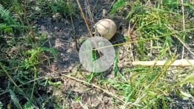 चेरिया बरियारपुर: चेरियाबरियारपुर थाना क्षेत्र के सकरबासा पंचायत के वार्ड पांच बरदाना बहियार में मिला अज्ञात नर कंकाल