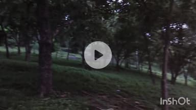 कर्वी: असावर माता मंदिर में मौजूद अनगिनत प्राचीन मूर्तियों के संरक्षण की उठी मांग