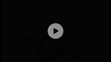 चाण्डिल : नीमडीह थाना क्षेत्र मे हाथियों ने की बाईक सवार पर हमला,एक गंभीर अन्य दो बाल बाल बचे #chandilnews #nimdih