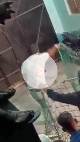 लक्सर: लक्सर के दाबकी महेश्वरी गांव में ग्रामीण के घर घुसा विशालकाय मगरमच्छ, वन विभाग ने घंटों की मशक्कत के बाद किया रेस्क्यू