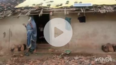 ब्यौहारी: महादेवा गांव में हाथियों का तांडव, कई घरों में तोड़फोड़