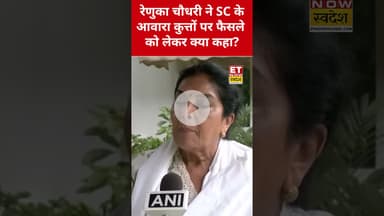 SC का आवारा कुत्तों पर फैसला, क्या बोली Renuka Chowdhury? #renukachowdhury #delhidogs #dogs #shorts