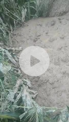 devi kothi panchayt ke paniyala 
gau me hua bhuskhaln
maki Or matr ki faasl huyi barbad
kisan ka huaa bhari nuksaan