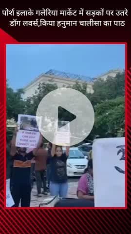 गुरुग्राम: साइबर सिटी में स्ट्रे डॉग्स के समर्थन में किया गया प्रदर्शन, सुप्रीम कोर्ट से आदेश वापस लेने की मांग की