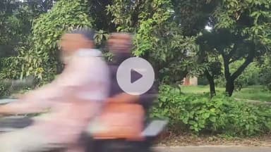 अमरोहा: अमरोहा में तेंदुए का खौफ, कांठ बायपास रोड पर आम के बाग में कार सवार को दिखाई दिया तेंदुआ, दहशत का माहौल