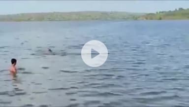 करौली: मामचारी बांध में डूबे युवक को बचाने के लिए थानाधिकारी अबजीत कुमार भी पानी में कूदे, युवक का नहीं लगा पता